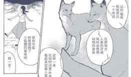 漫画 ntr,揭秘漫画中的情感纠葛与人性探索